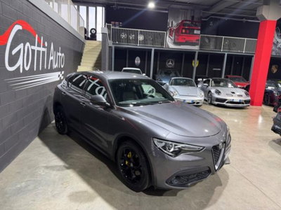 Alfa Romeo Stelvio Stelvio 2.2 Turbodiesel 160 CV AT8 RWD Sprint (3)