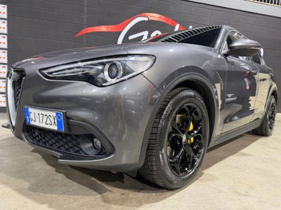 Alfa Romeo Stelvio Stelvio 2.2 Turbodiesel 160 CV AT8 RWD Sprint (7)