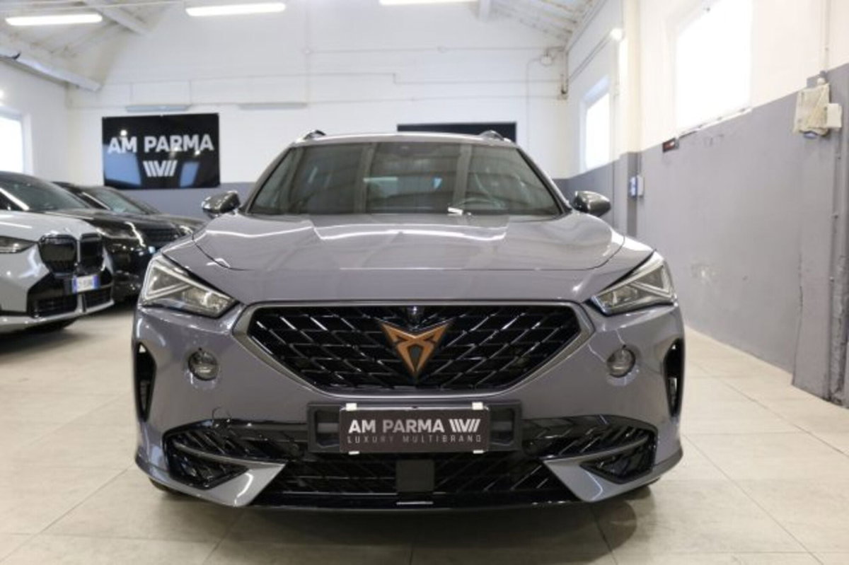 Cupra Formentor Formentor 2.0 tdi 4drive 150cv dsg (2)