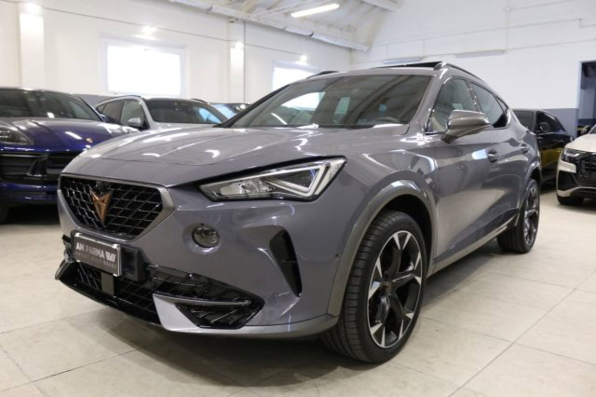 Cupra Formentor Formentor 2.0 tdi 4drive 150cv dsg (3)