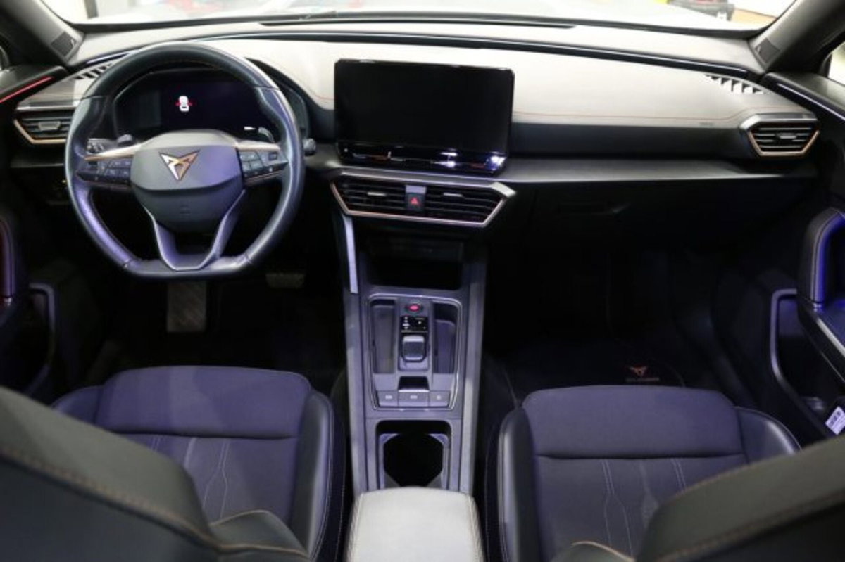 Cupra Formentor Formentor 2.0 tdi 4drive 150cv dsg (9)