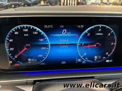 Mercedes-Benz GLE SUV 300 d 4Matic Premium Plus (15)