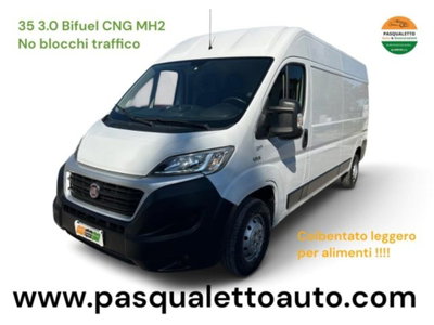 Fiat Ducato Furgone 35 3.0 CNG PLM-TM Maxi usato