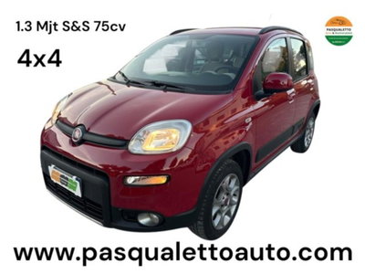Fiat Panda 1.3 MJT S&S 4x4 usata