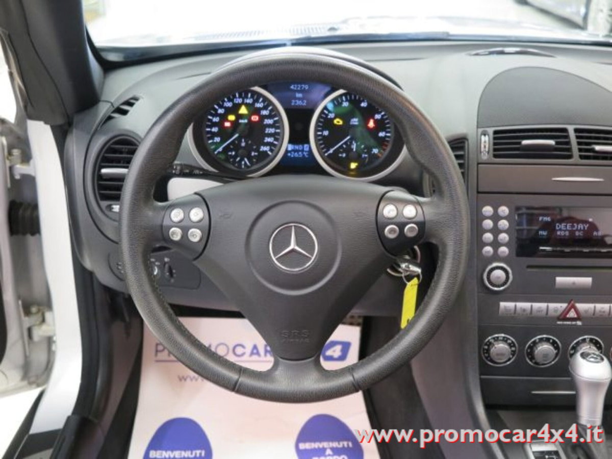 Mercedes-Benz SLK 200 Kompressor cat (11)