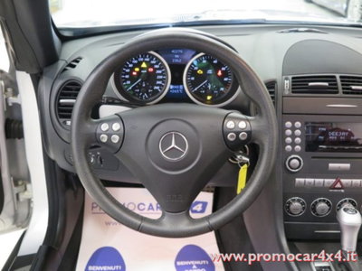 Mercedes-Benz SLK 200 Kompressor cat (11)