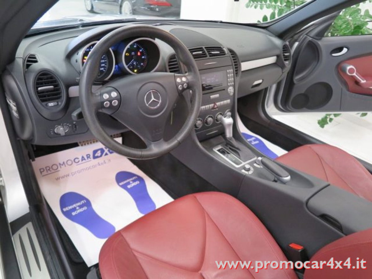 Mercedes-Benz SLK 200 Kompressor cat (14)