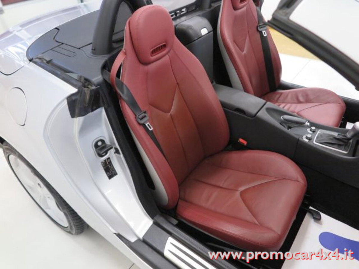 Mercedes-Benz SLK 200 Kompressor cat (7)