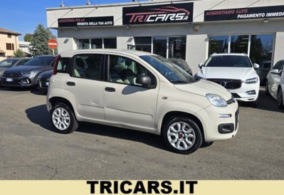 Fiat Panda 0.9 TwinAir Turbo Natural Power Easy usata