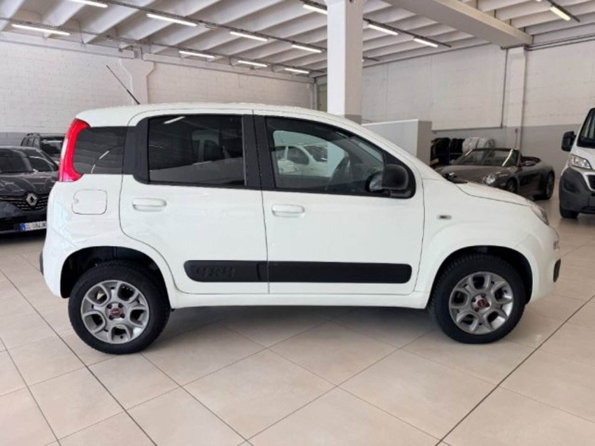 Fiat Panda 1.3 MJT 4x4 Pop Van 2 posti (4)