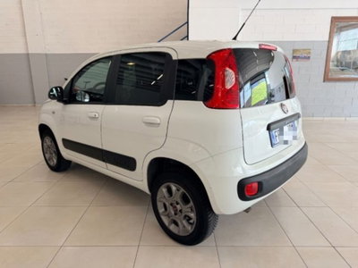 Fiat Panda 1.3 MJT 4x4 Pop Van 2 posti (7)