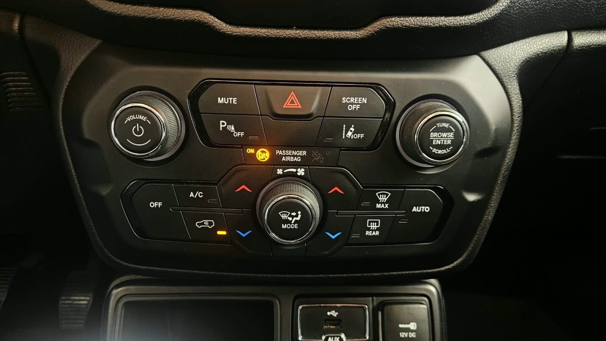 Jeep Renegade 1.6 Mjt 120 CV Longitude (13)