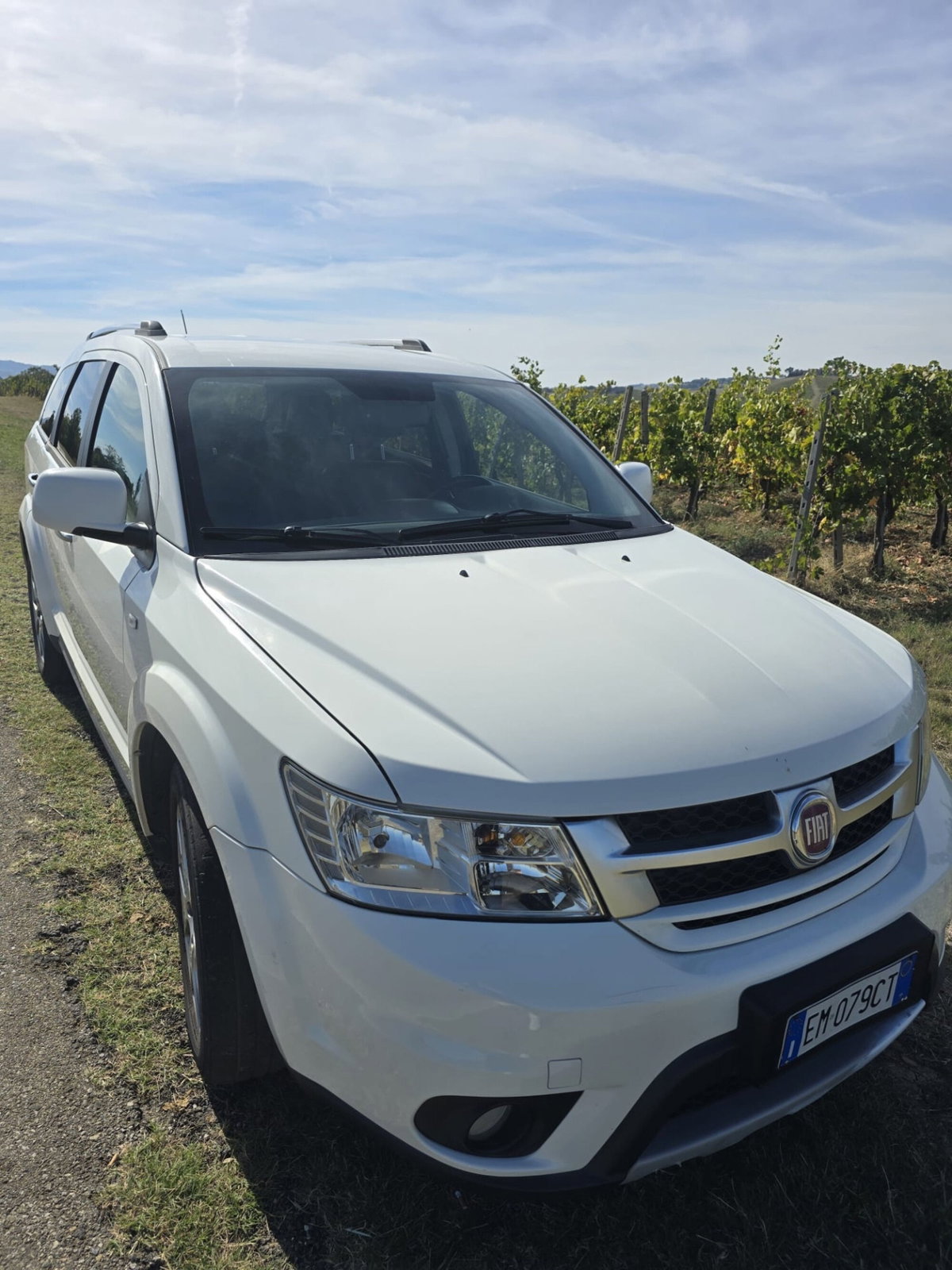 Fiat Freemont 2.0 Mjt 170 CV 4x4 Automatica Lounge (13)