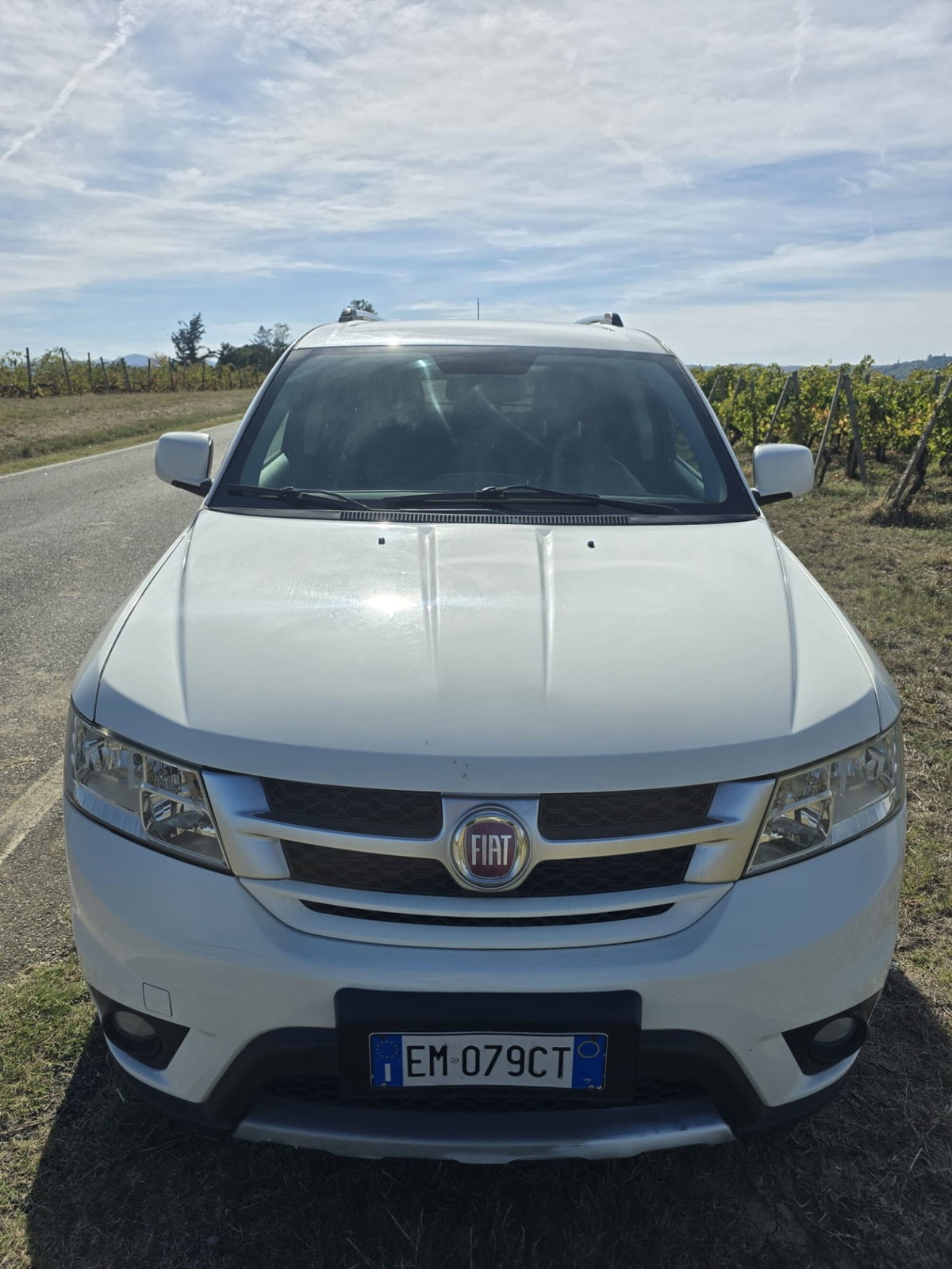 Fiat Freemont 2.0 Mjt 170 CV 4x4 Automatica Lounge (14)