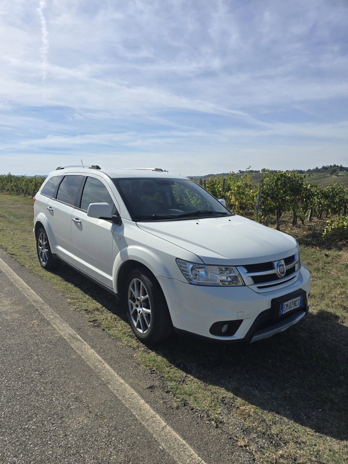 Fiat Freemont 2.0 Mjt 170 CV 4x4 Automatica Lounge (2)