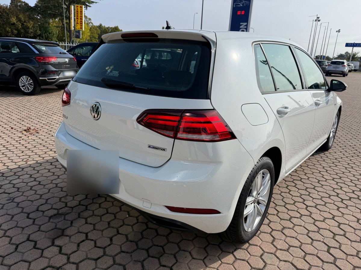 Volkswagen Golf 1.5 TGI DSG 5p. Business BlueMotion Technology (6)