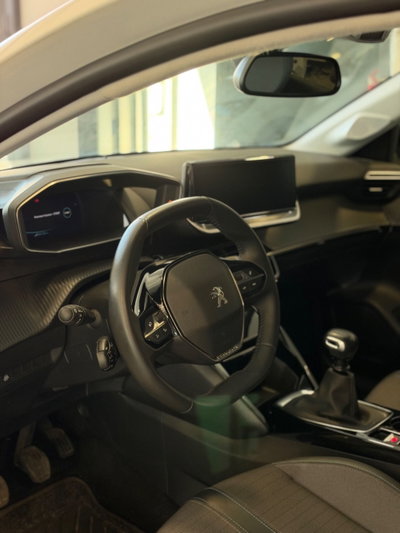 Peugeot 208 BlueHDi 100 Stop&Start 5 porte Allure Pack (8)