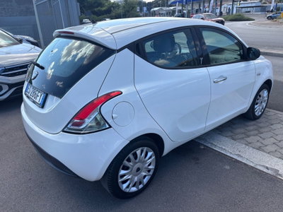 Lancia Ypsilon 1.3 MJT 16V 95 CV 5 porte S&S Gold (6)