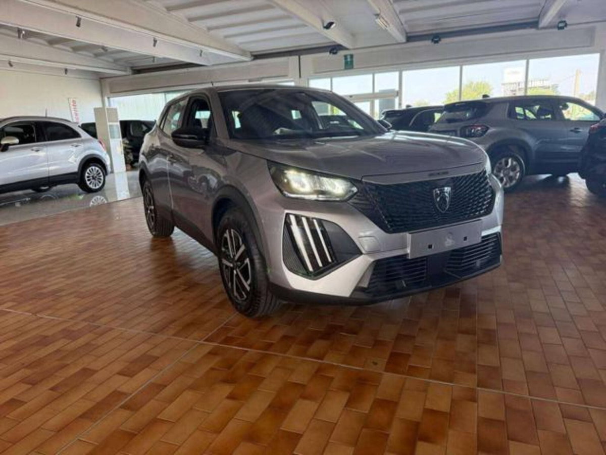 Peugeot 2008 PureTech 100 S&S Active (3)