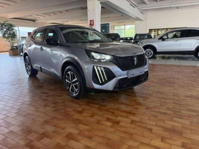 Peugeot 2008 PureTech 100 S&S Active (3)