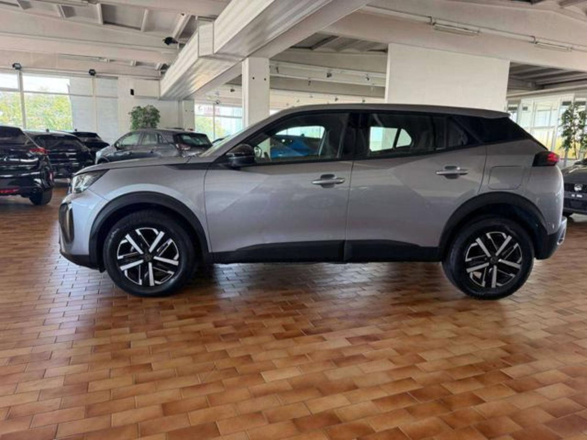 Peugeot 2008 PureTech 100 S&S Active (8)
