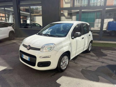 Fiat Panda 1.2 EasyPower Easy usata