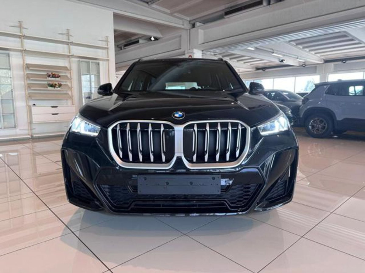 BMW X1 sdrive18d MSport auto (2)