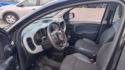 Fiat Panda Cross Cross 1.0 FireFly S&S Hybrid (5)