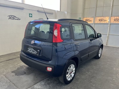 Fiat Panda 1.2 Lounge (6)