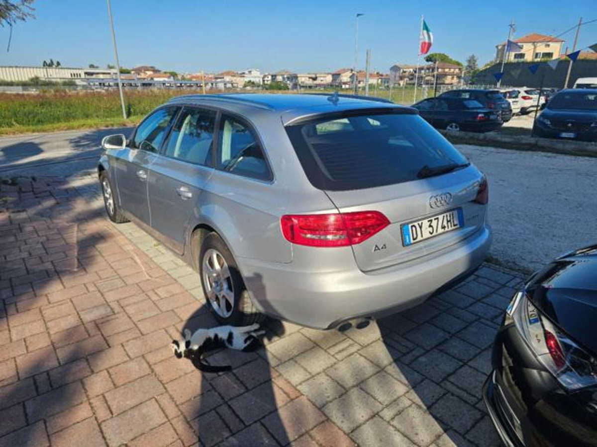 Audi A4 Avant 2.0 TDI 143CV F.AP. Advanced (3)