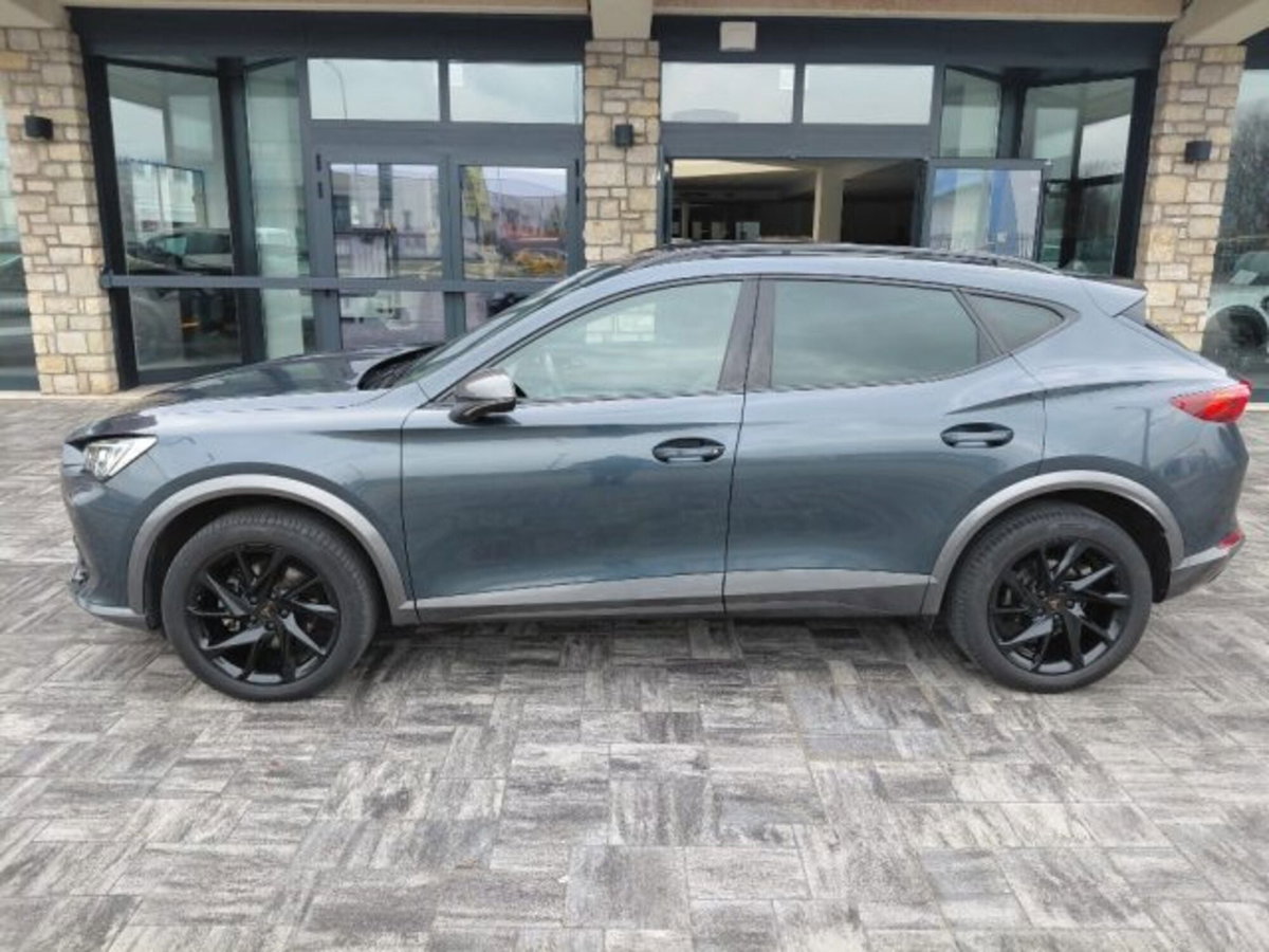 Cupra Formentor Formentor 2.0 tdi 4drive 150cv dsg (2)