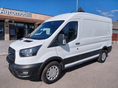 Ford Transit Furgone 350 2.0TDCi EcoBlue 130 aut. PM-TM Furgone Trend usato