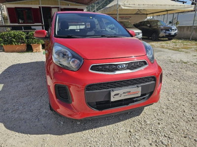 Kia Picanto 1.0 12V EcoGPL 5 porte City usata