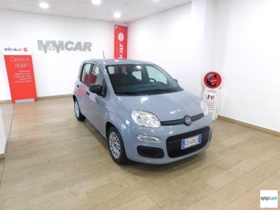 Fiat Panda 1.0 FireFly S&S Hybrid Easy usata