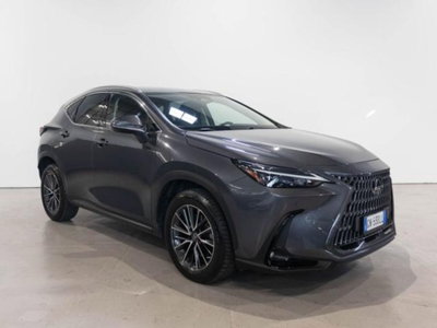 Lexus NX Hybrid 4WD Premium usata