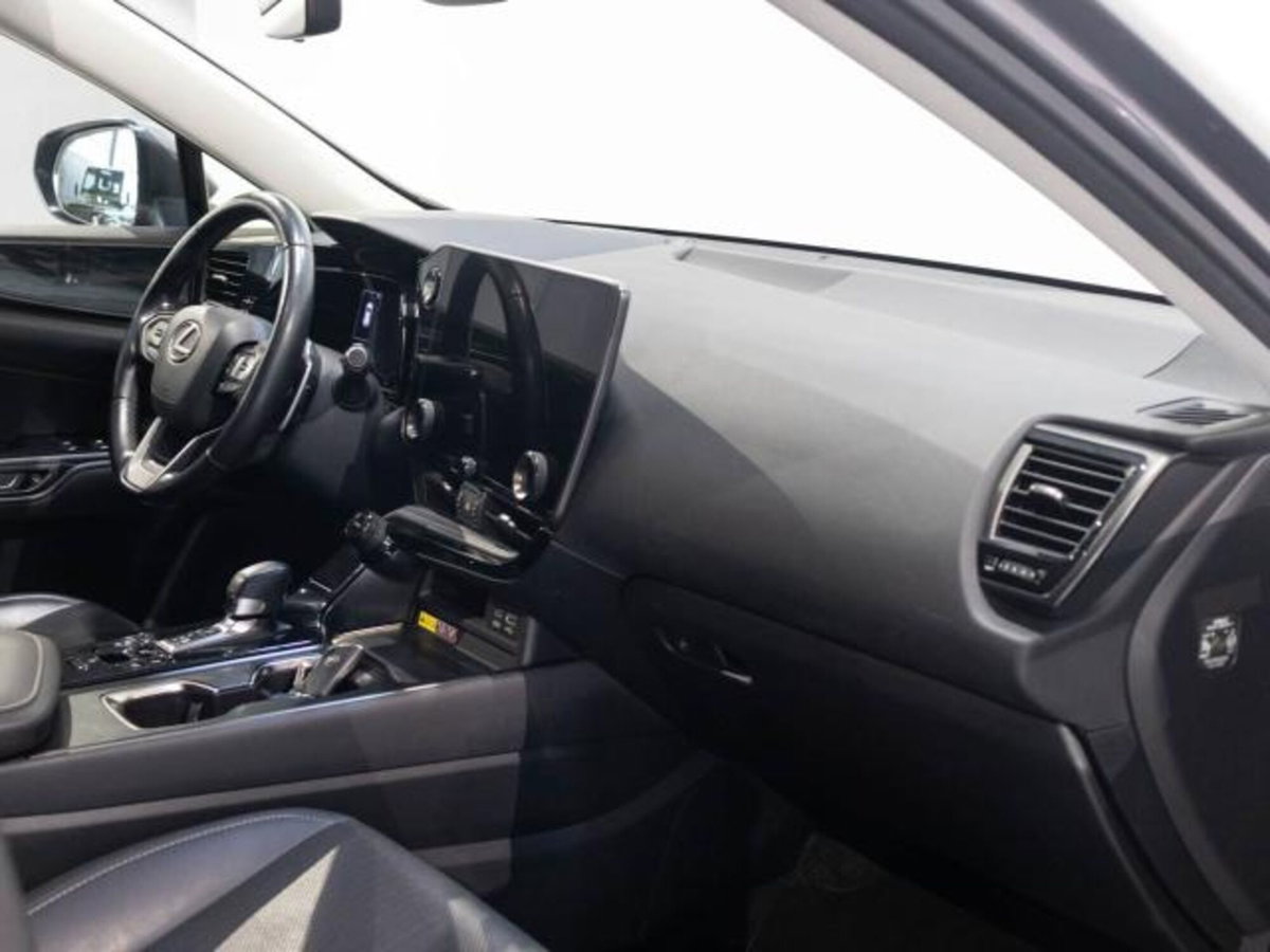 Lexus NX Hybrid 4WD Premium (13)