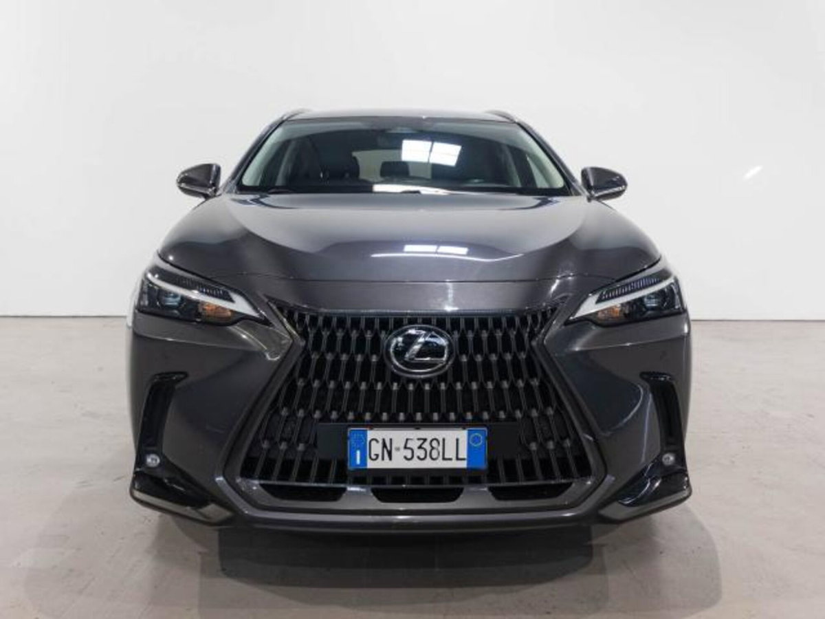 Lexus NX Hybrid 4WD Premium (2)