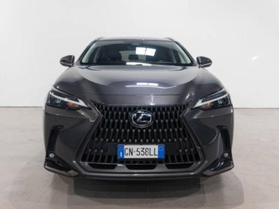 Lexus NX Hybrid 4WD Premium (2)