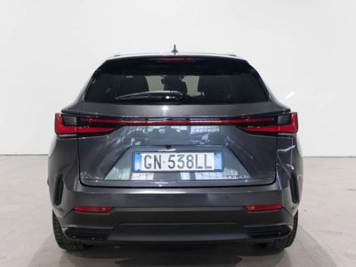 Lexus NX Hybrid 4WD Premium (4)