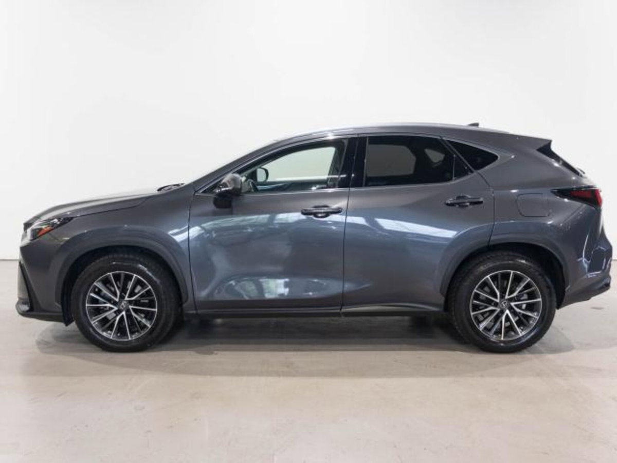 Lexus NX Hybrid 4WD Premium (5)