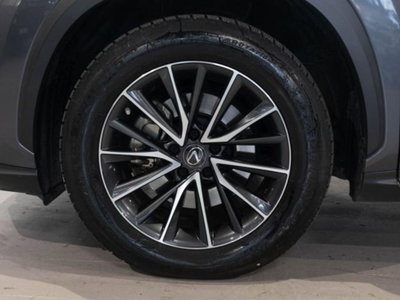 Lexus NX Hybrid 4WD Premium (6)