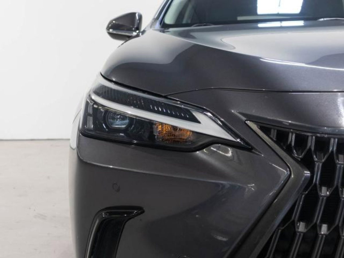 Lexus NX Hybrid 4WD Premium (7)