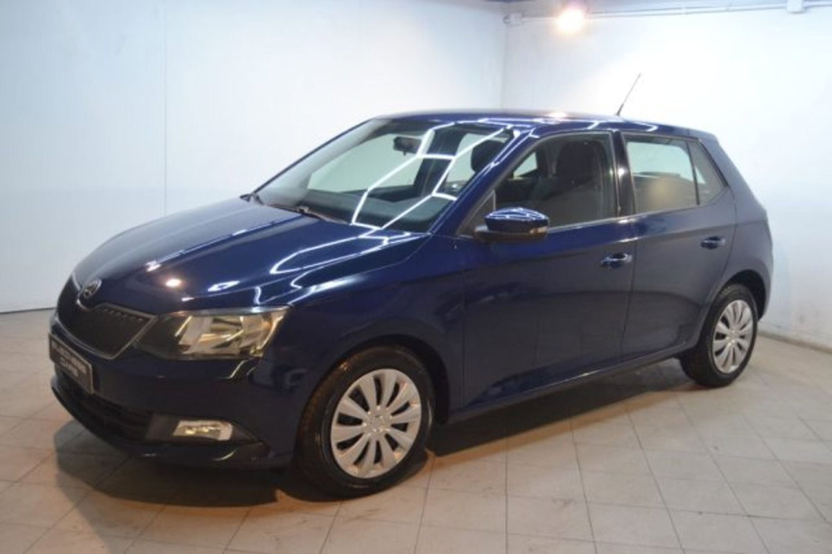 Skoda Fabia 1.4 TDI 90 CV Business (2)