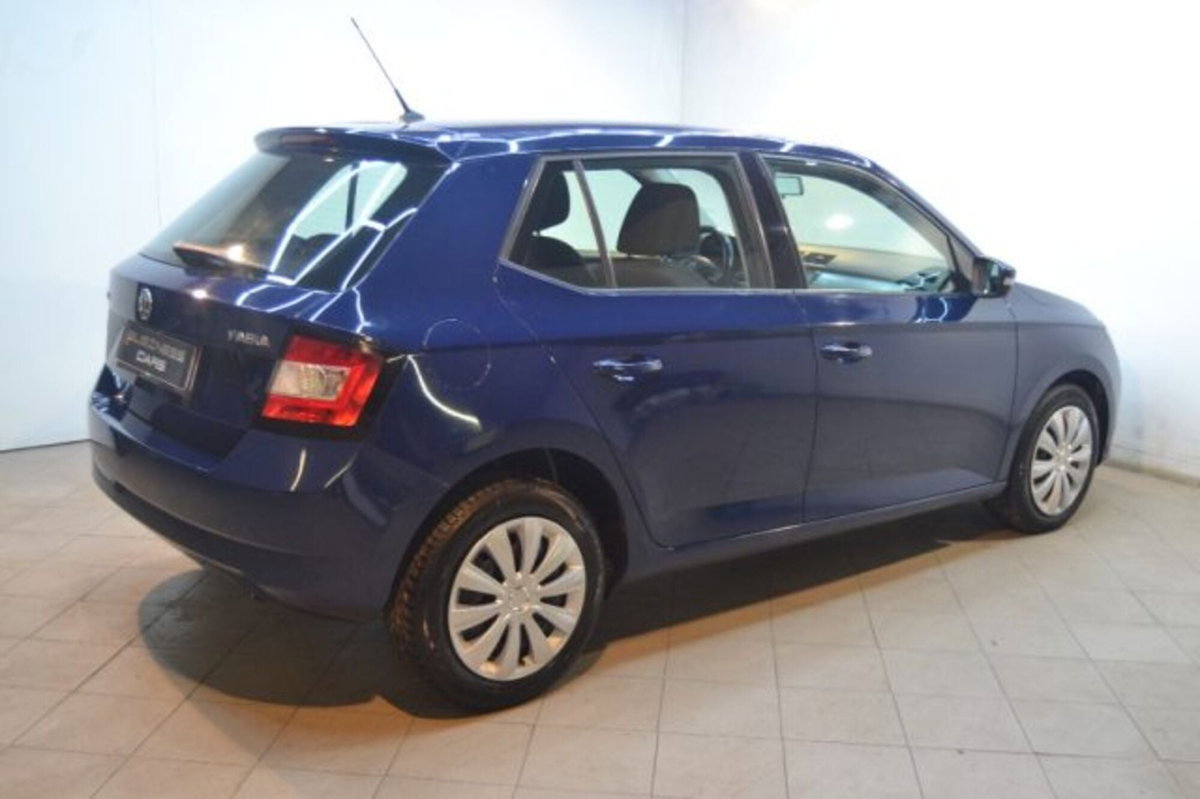 Skoda Fabia 1.4 TDI 90 CV Business (4)