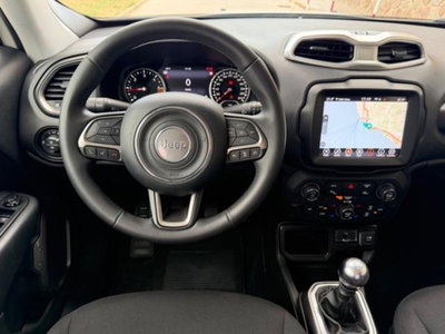 Jeep Renegade 1.6 Mjt 130 CV S (13)