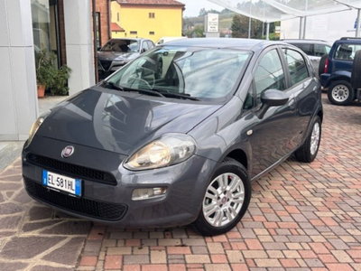 Fiat Punto 1.2 8V 5 porte Easy usata