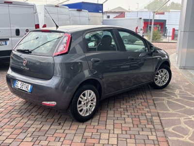 Fiat Punto 1.2 8V 5 porte Easy (4)