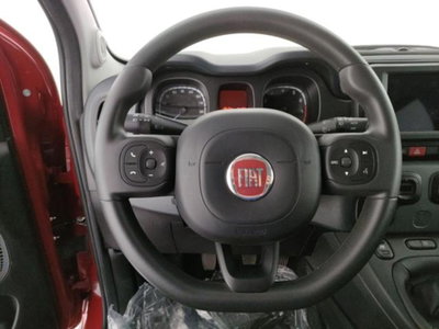Fiat Panda Cross 1.0 firefly hybrid Cross s&s 70cv 5p.ti (9)