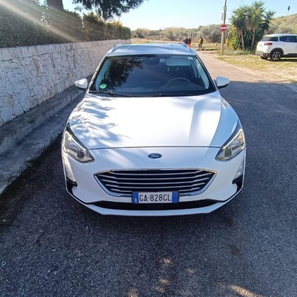Ford Focus Station Wagon 1.5 EcoBlue 95 CV SW Business (6)