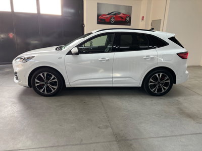 Ford Kuga 1.5 EcoBlue 120 CV aut. 2WD ST-Line X Design (2)